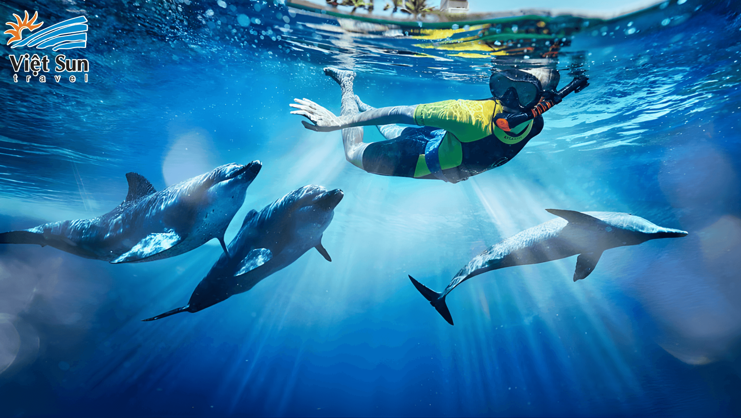 Bơi cùng cá heo tại Dolphin Bay (Nguồn ảnh_ sưu tầm) Viet Sun Travel