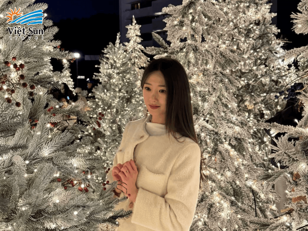 Busan mùa đông – điểm đến cho trải nghiệm tuyết và lễ hội ấm cúng