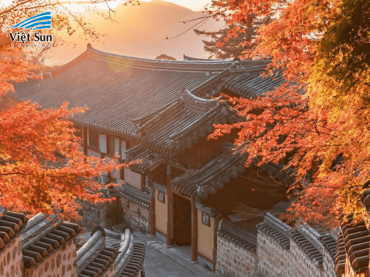 Busan mùa thu quyến rũ với sắc lá đỏ lãng mạn