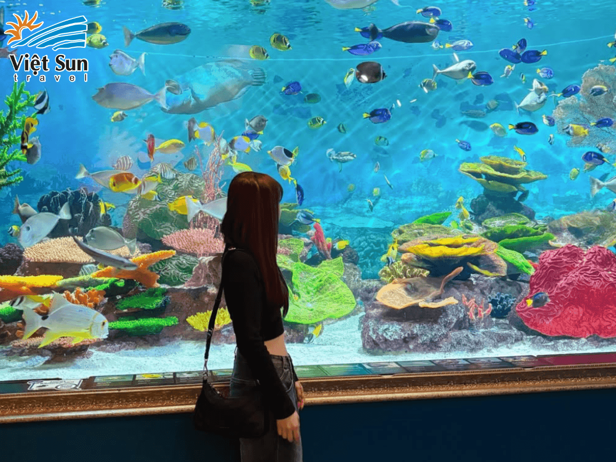 COEX Aquarium – điểm đến lý tưởng cho gia đình và các tín đồ yêu thích thế giới đại dương