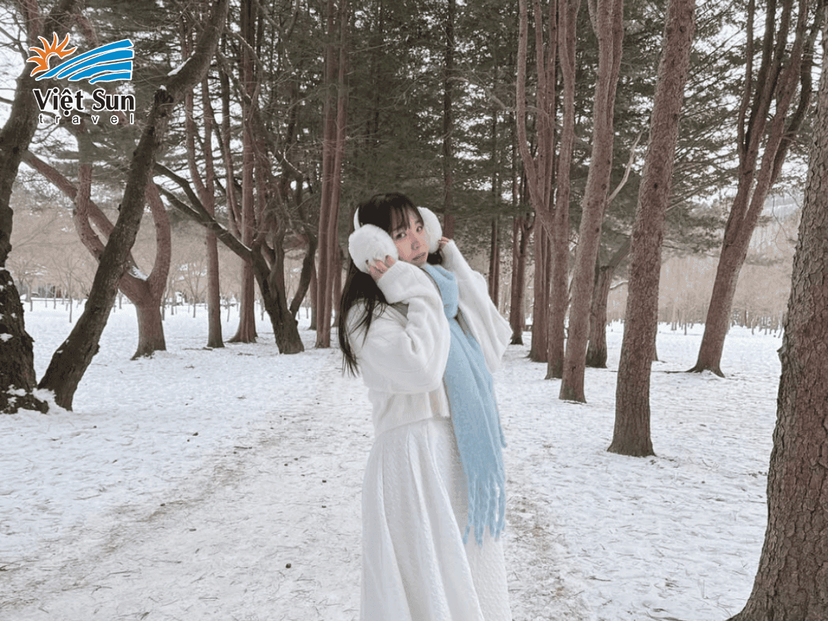 Cảnh Đảo Nami phủ tuyết trắng vào mùa đông, tạo nên không gian yên bình