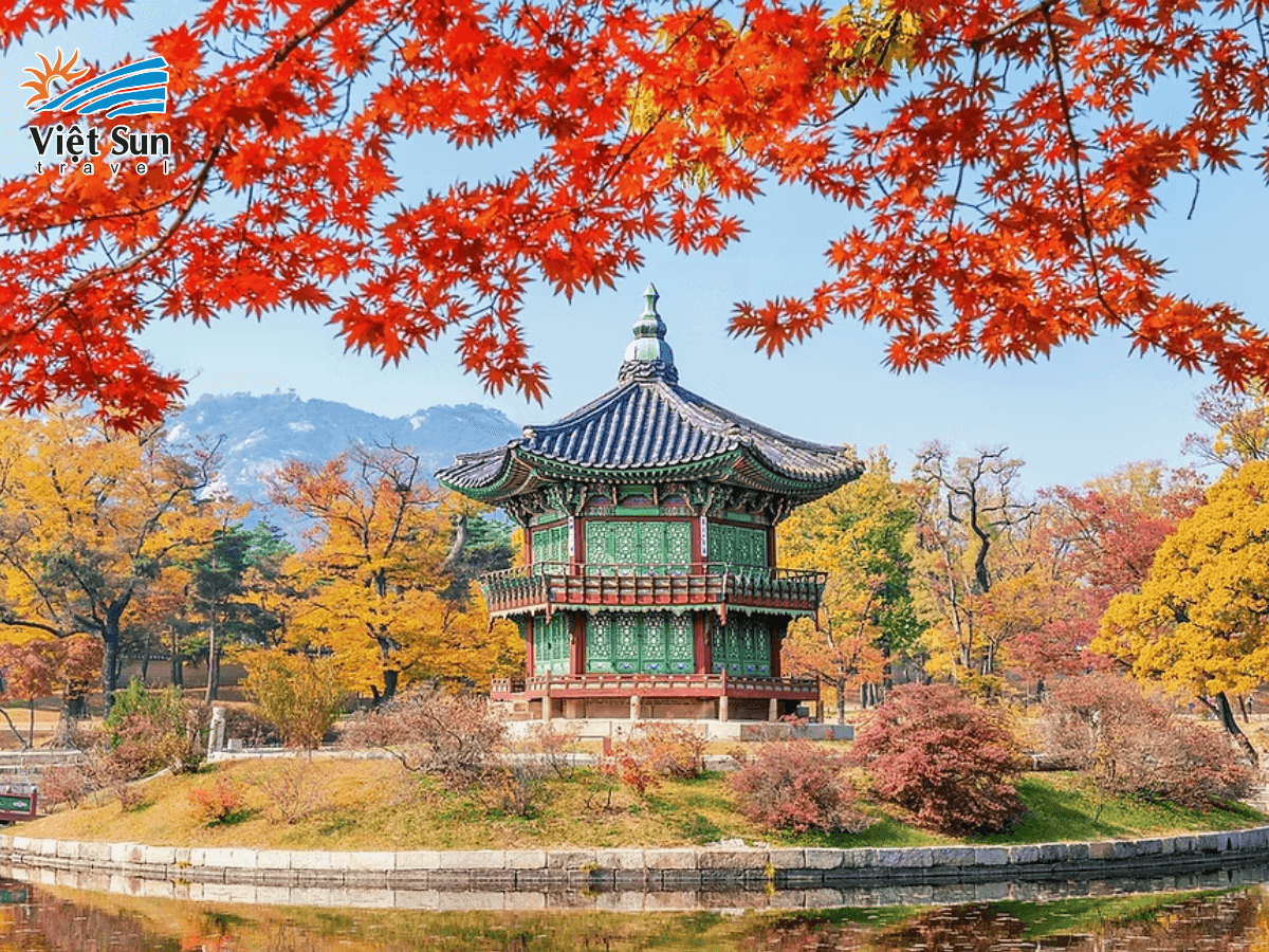 Cảnh Phúc Cung mùa thu rực rỡ trong sắc vàng đỏ của lá phong và ngân hạnh.png