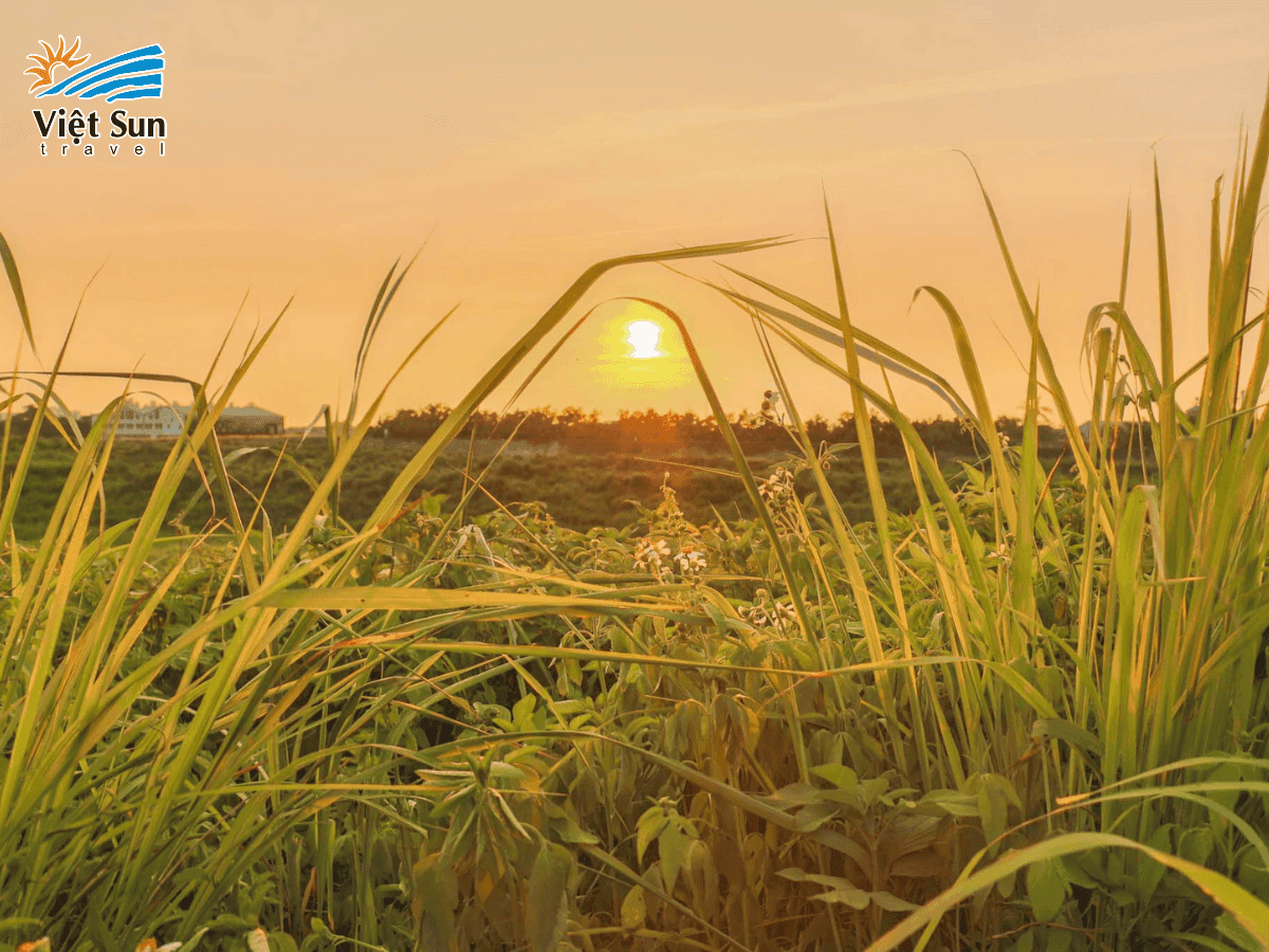 Cảnh làng quê thanh bình của thành phố Gia Nghĩa Chiayi