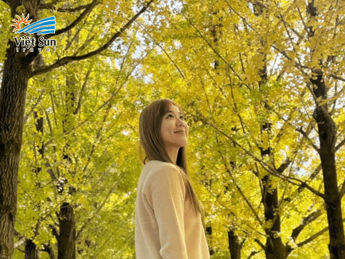 Cảnh sắc lá đỏ mùa thu phủ kín con đường tại Đảo Nami