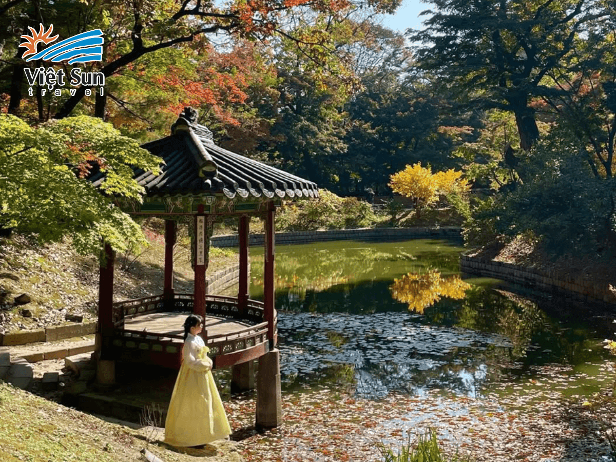 Cảnh sắc mùa thu tại Vườn Hậu trong khuôn viên Changdeokgung