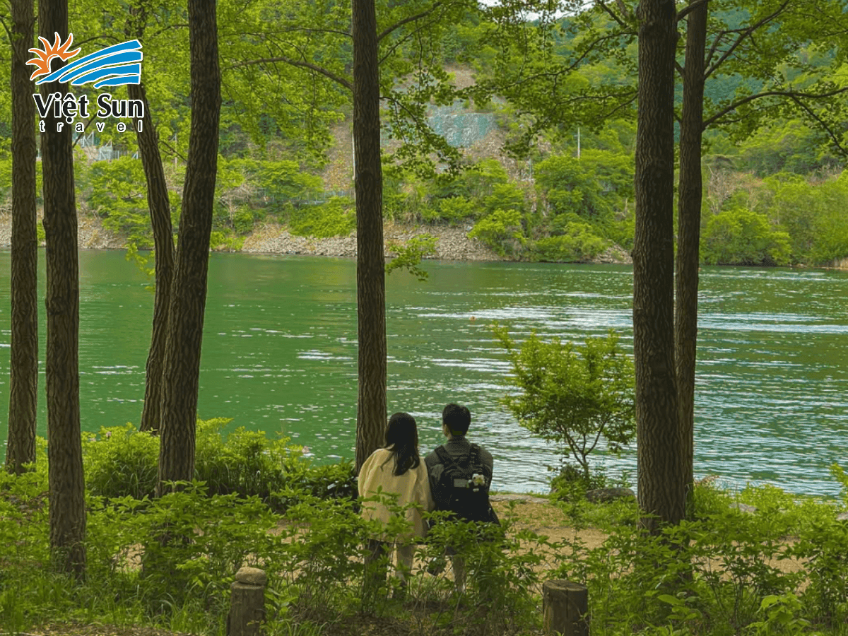 Cảnh sắc xanh tươi mát tại đảo Nami vào mùa hè