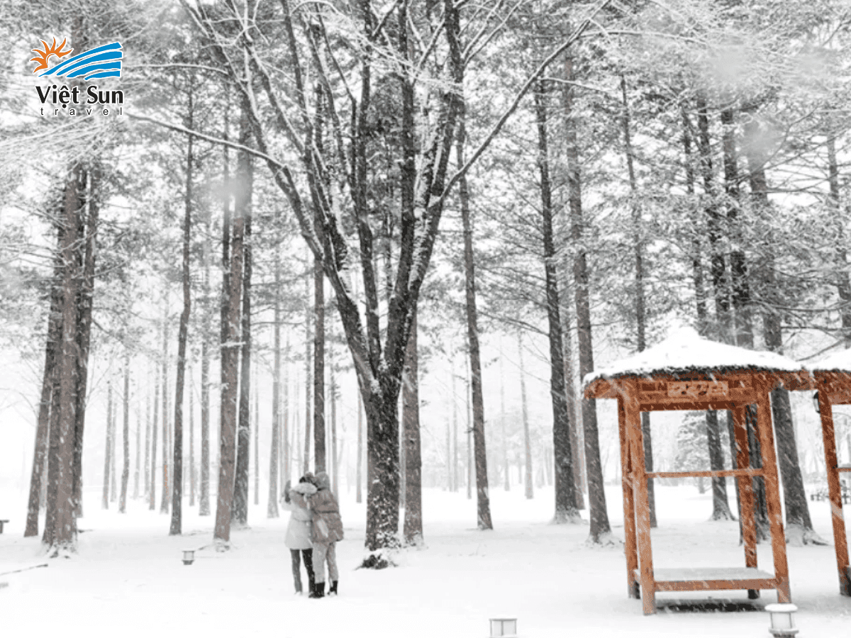 Cảnh tuyết rơi lãng mạn như phim Hàn tại Đảo Nami