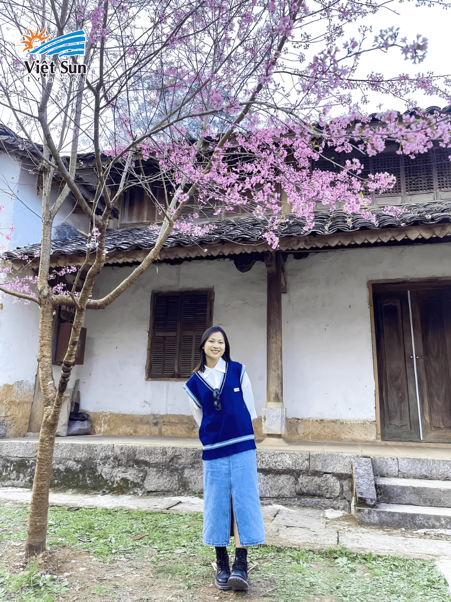 Check-in tại Dinh thự họ Vương mùa hoa đào tháng 3