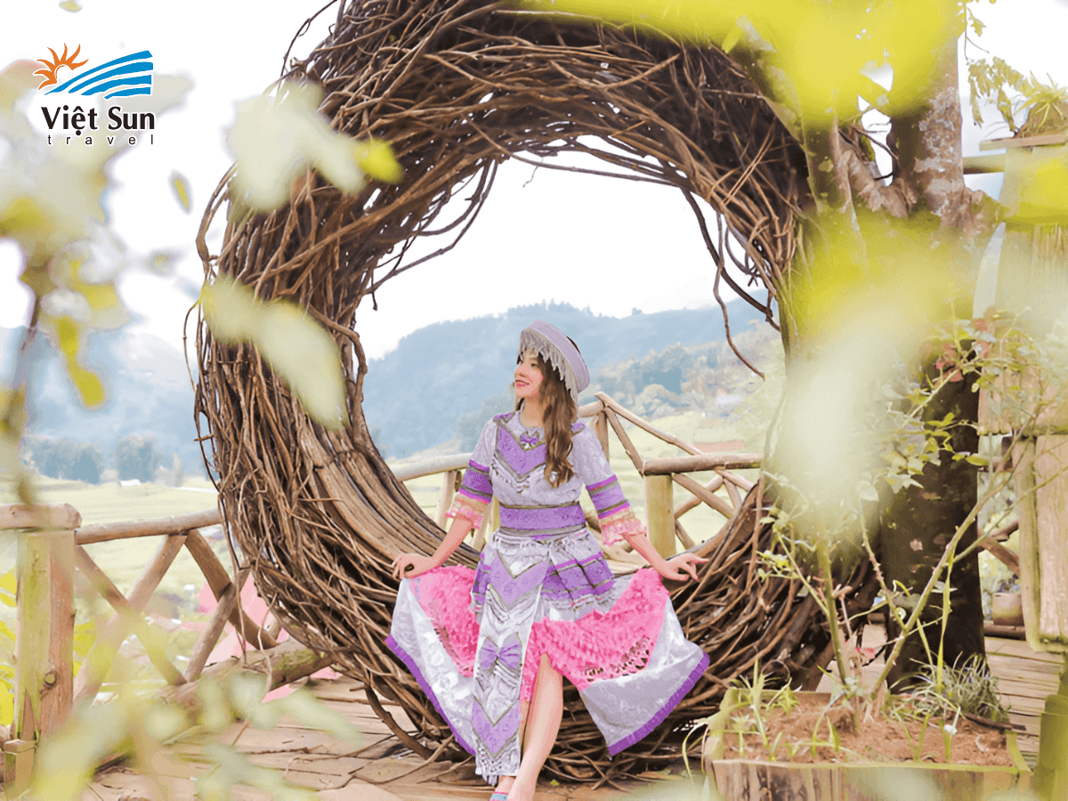 Chiếc tổ chim được kết từ thân cây