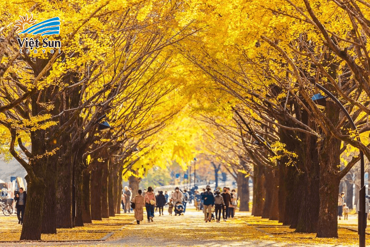 Công viên Hanamiyama – Thiên đường lá đỏ ở trung tâm Fukushima.