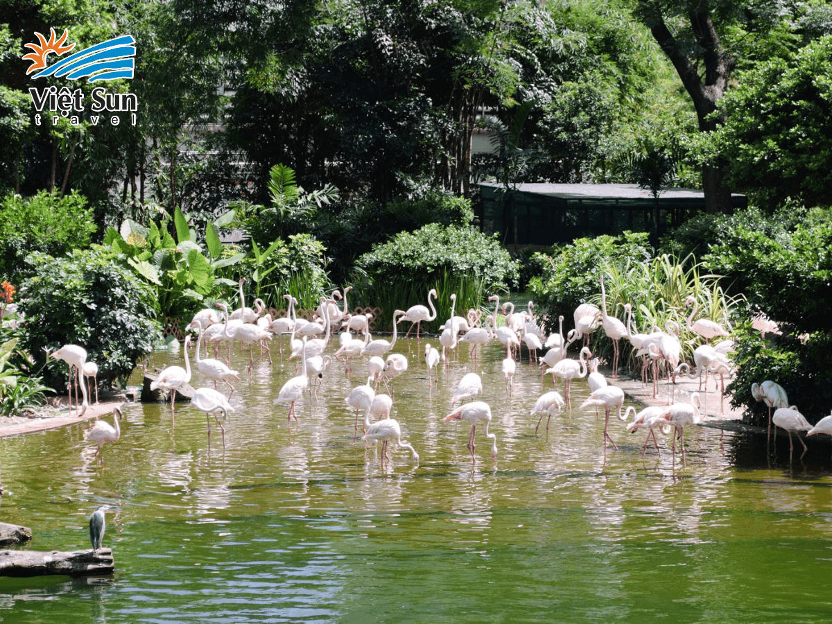 Công viên Kowloon – lá phổi xanh yên bình giữa lòng Cửu Long