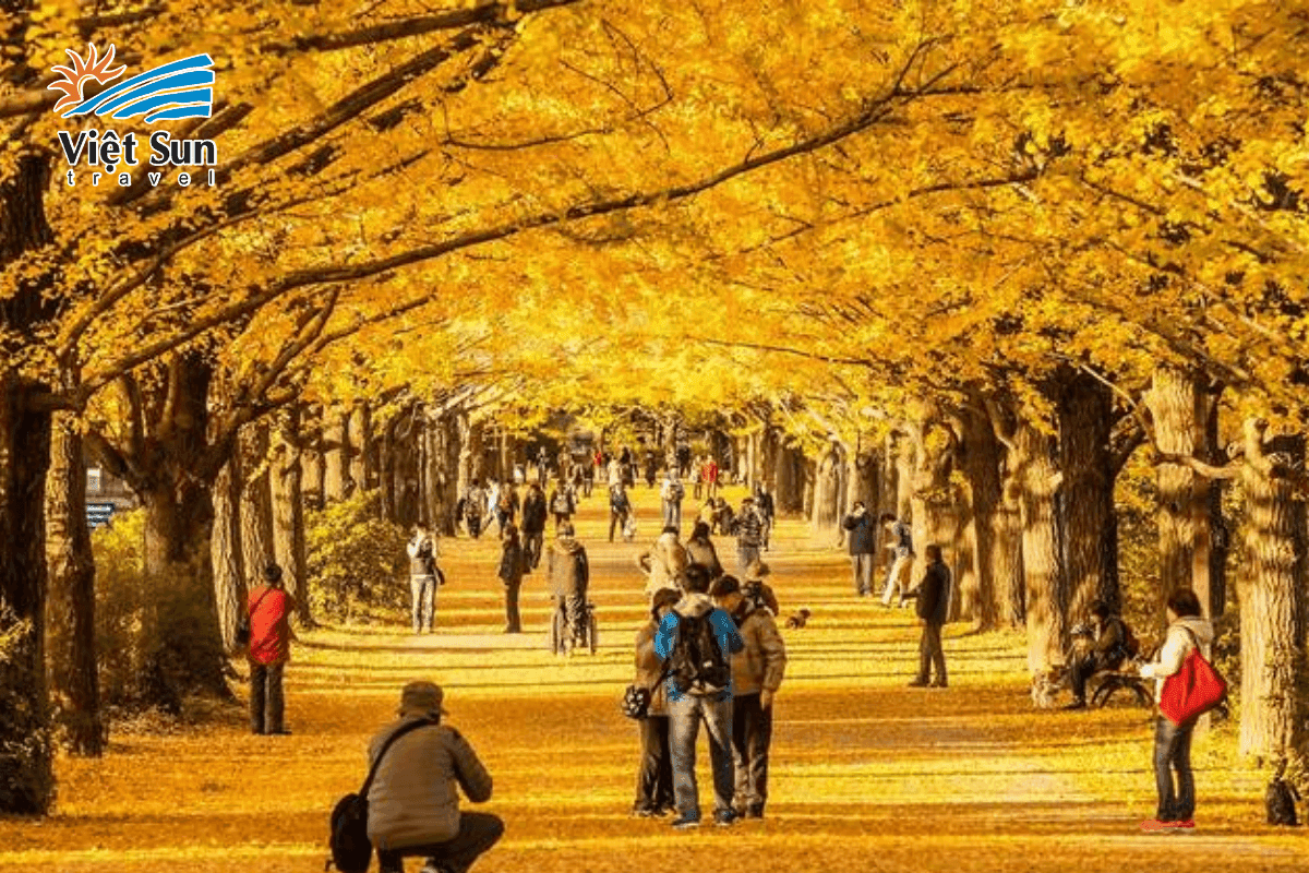 Công viên Ueno rực sắc mỗi độ thu về.