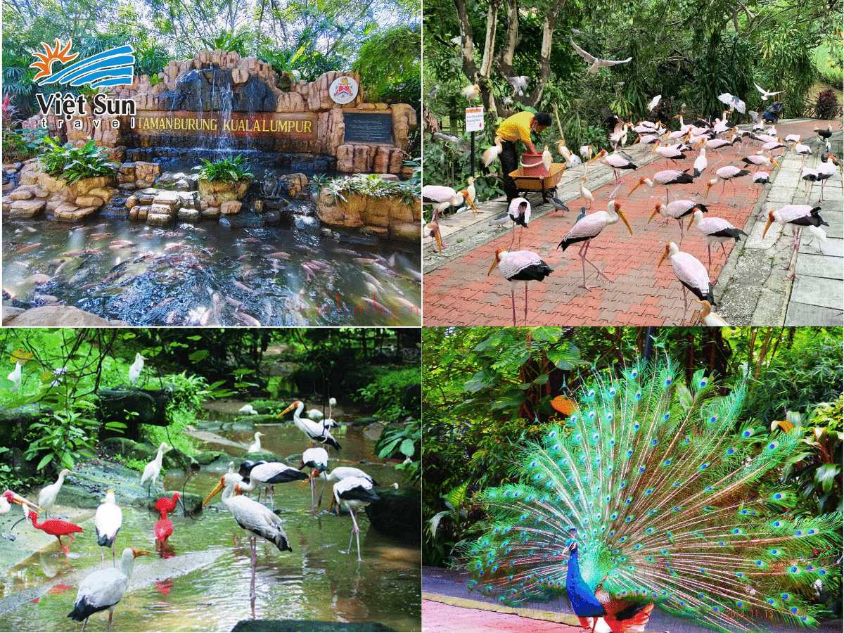 Công viên chim Kuala Lumpur - Thiên đường của các loài chim