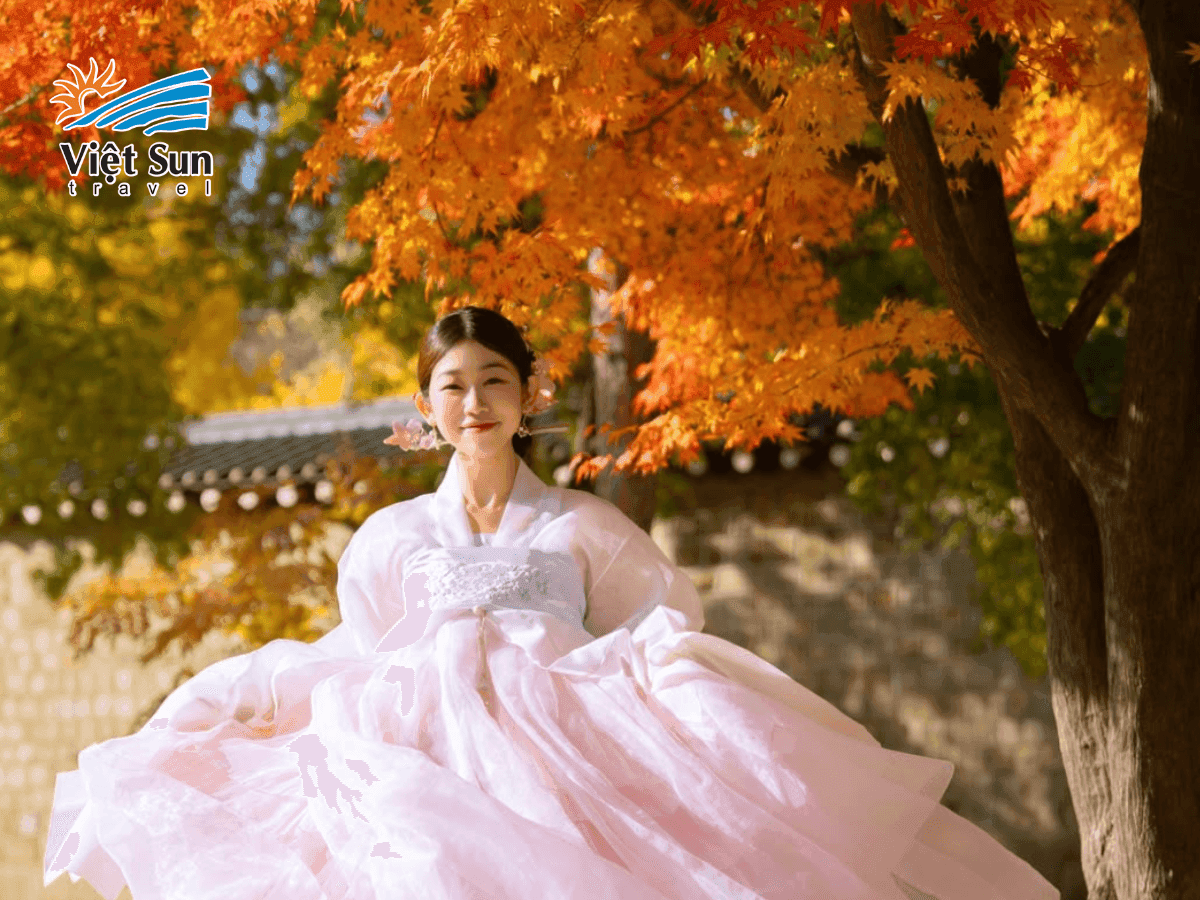 Cung điện Gyeongbok đẹp mê hoặc trong sắc lá vàng Hàn Quốc