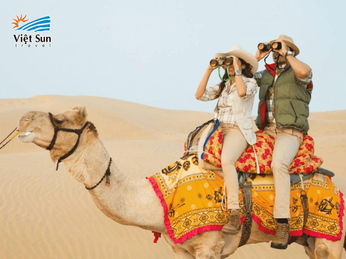 Cưỡi lạc đà – trải nghiệm văn hóa truyền thống không thể thiếu tại sa mạc Dubai