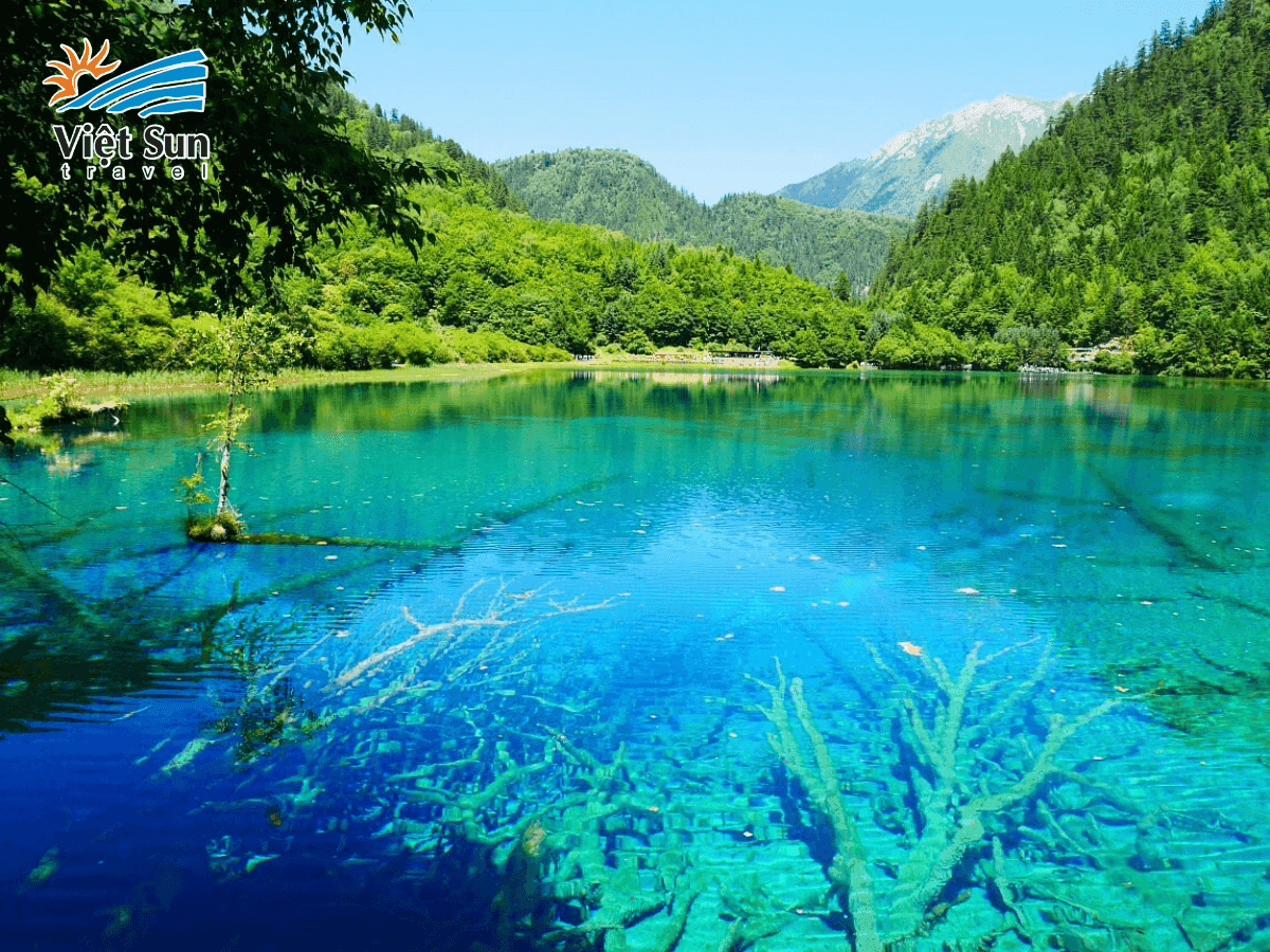 Cửu Trại Câu mùa hè rợp bóng cây xanh và thác nước mạnh mẽ