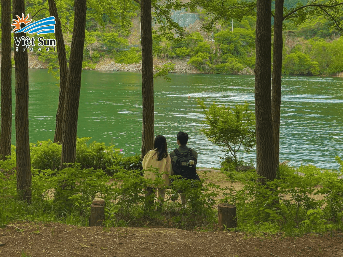 Đảo Nami – điểm đến nổi tiếng trong tour du lịch Hàn Quốc