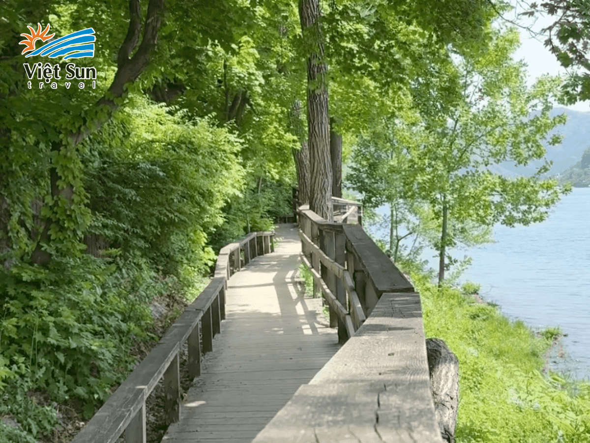 Dạo bước dưới hàng cây xanh tại Đảo Nami vào mùa hè