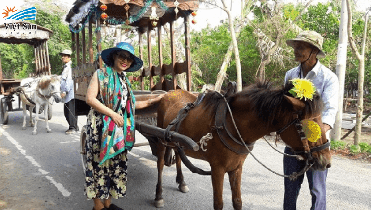 Đi xe ngựa đường quê