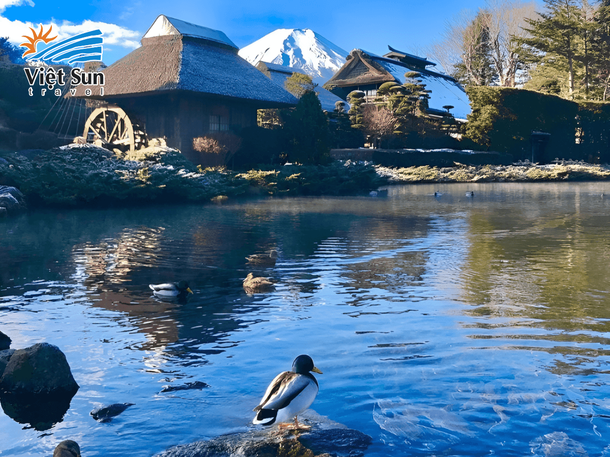 Dòng nước thiêng Oshino – nơi người xưa hành hương và thanh tẩy trước khi chinh phục núi Phú Sĩ