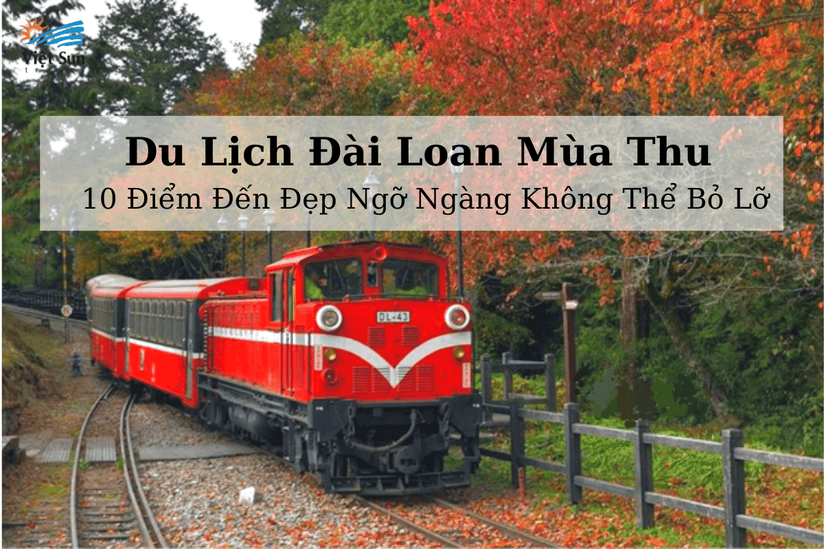 Du lịch Đài Loan mùa Thu 2025_ 10 Điểm Đến Đẹp Ngỡ Ngàng Không Thể Bỏ Lỡ