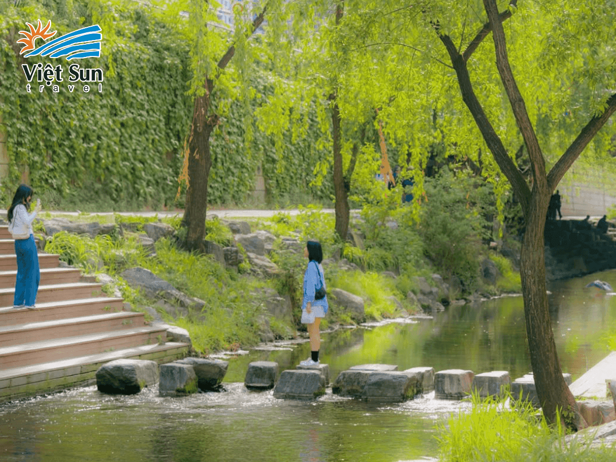 Du khách dạo chơi bên suối Cheonggyecheon vào mùa hè