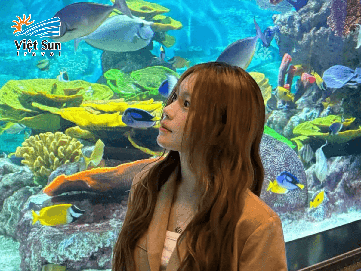 Du khách khám phá thế giới đại dương tại đường hầm thủy cung COEX