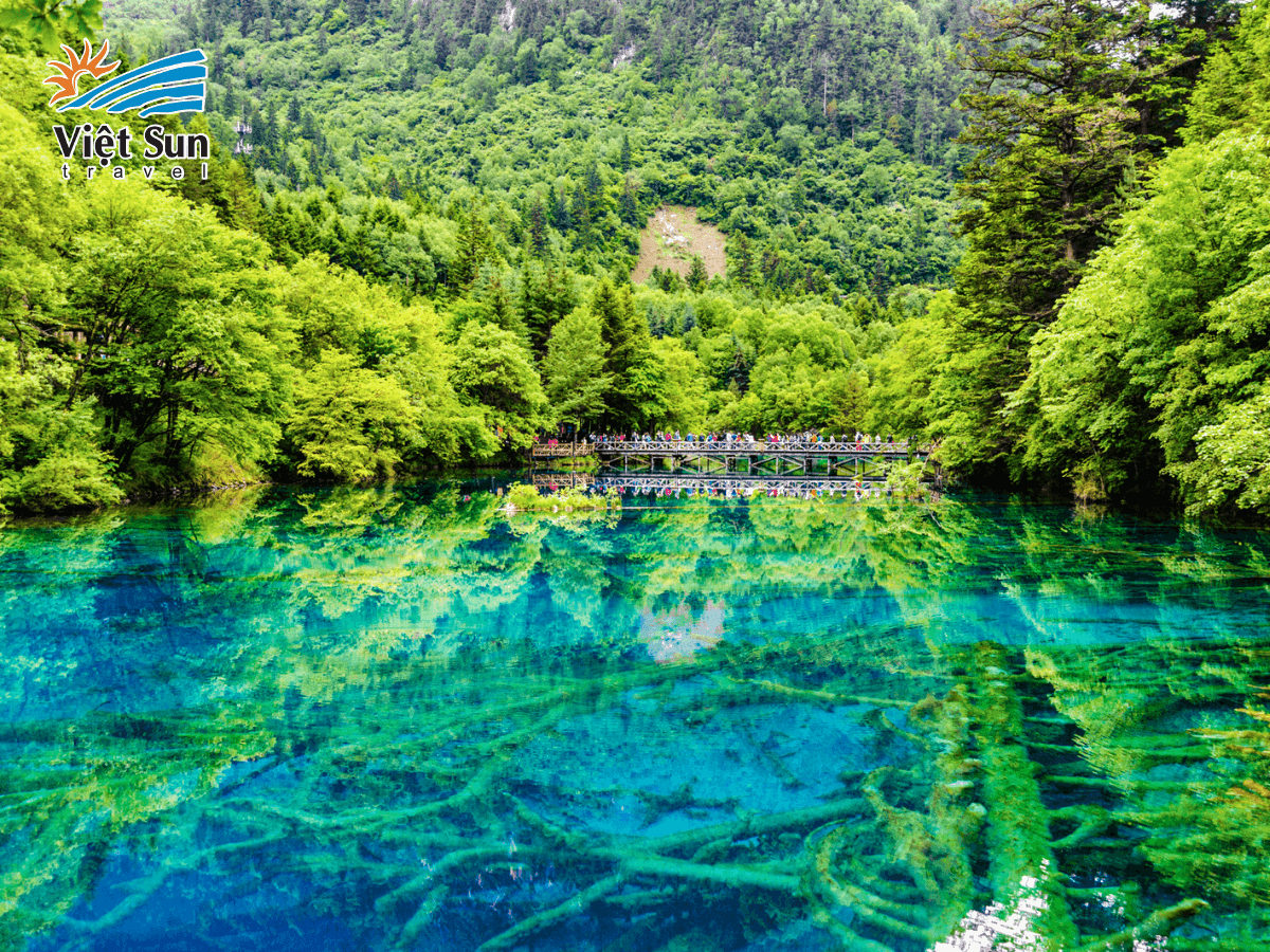 Du lịch Cửu Trại Câu, khám phá vẻ đẹp thiên nhiên hùng vĩ