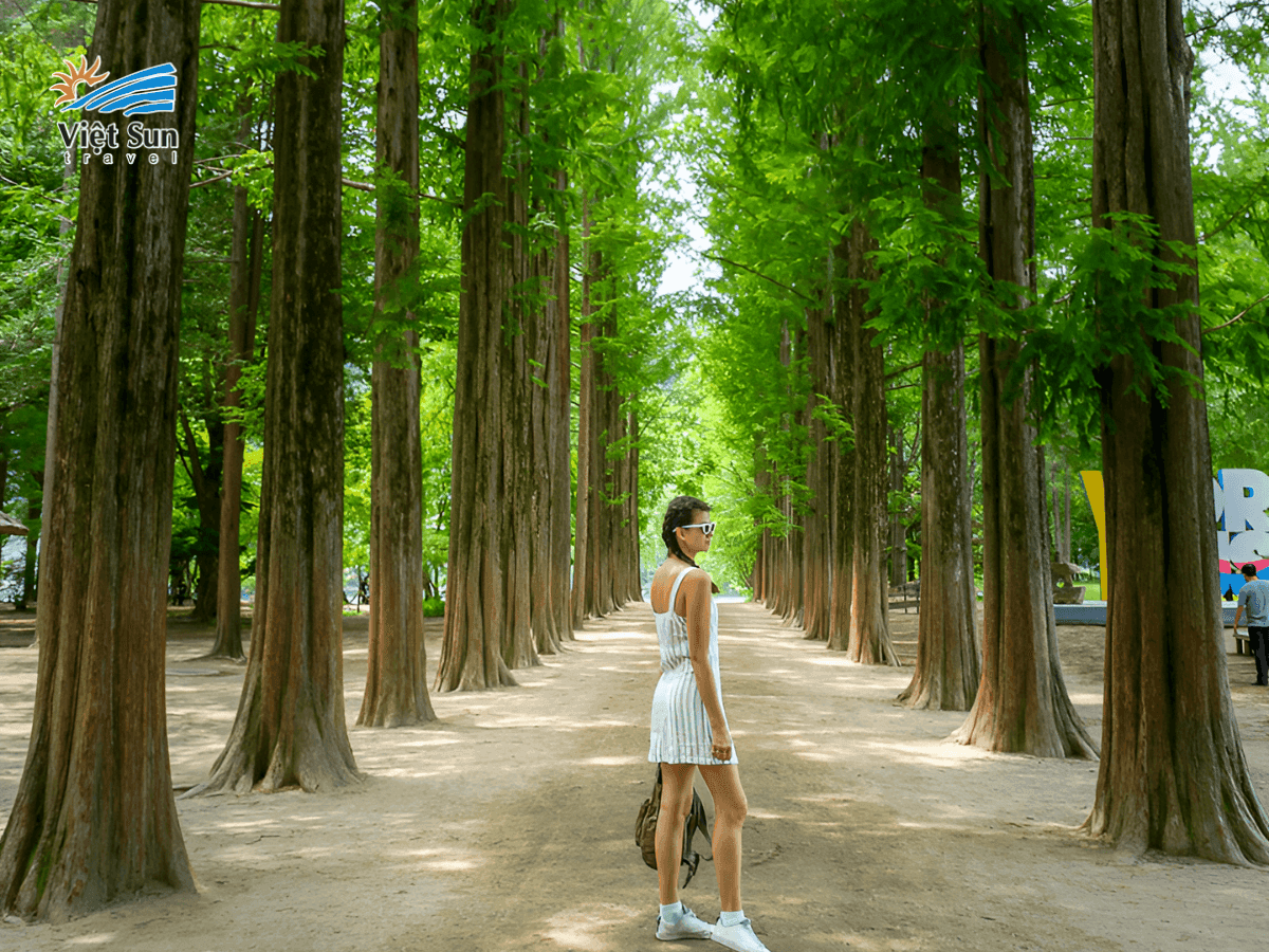 Du lịch Hàn Quốc: Tự do khám phá hay trọn gói tiện lợi.png