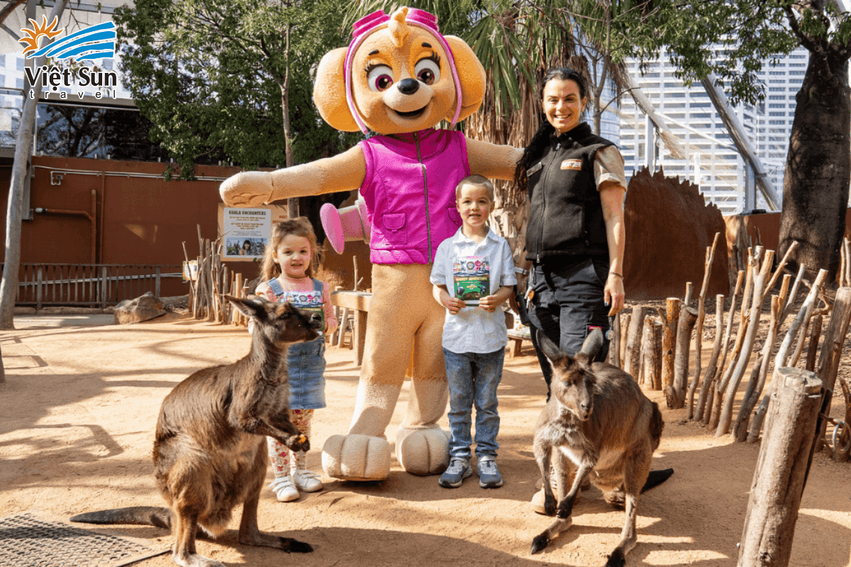 Du lịch Úc - Vui chơi Sydney Zoo