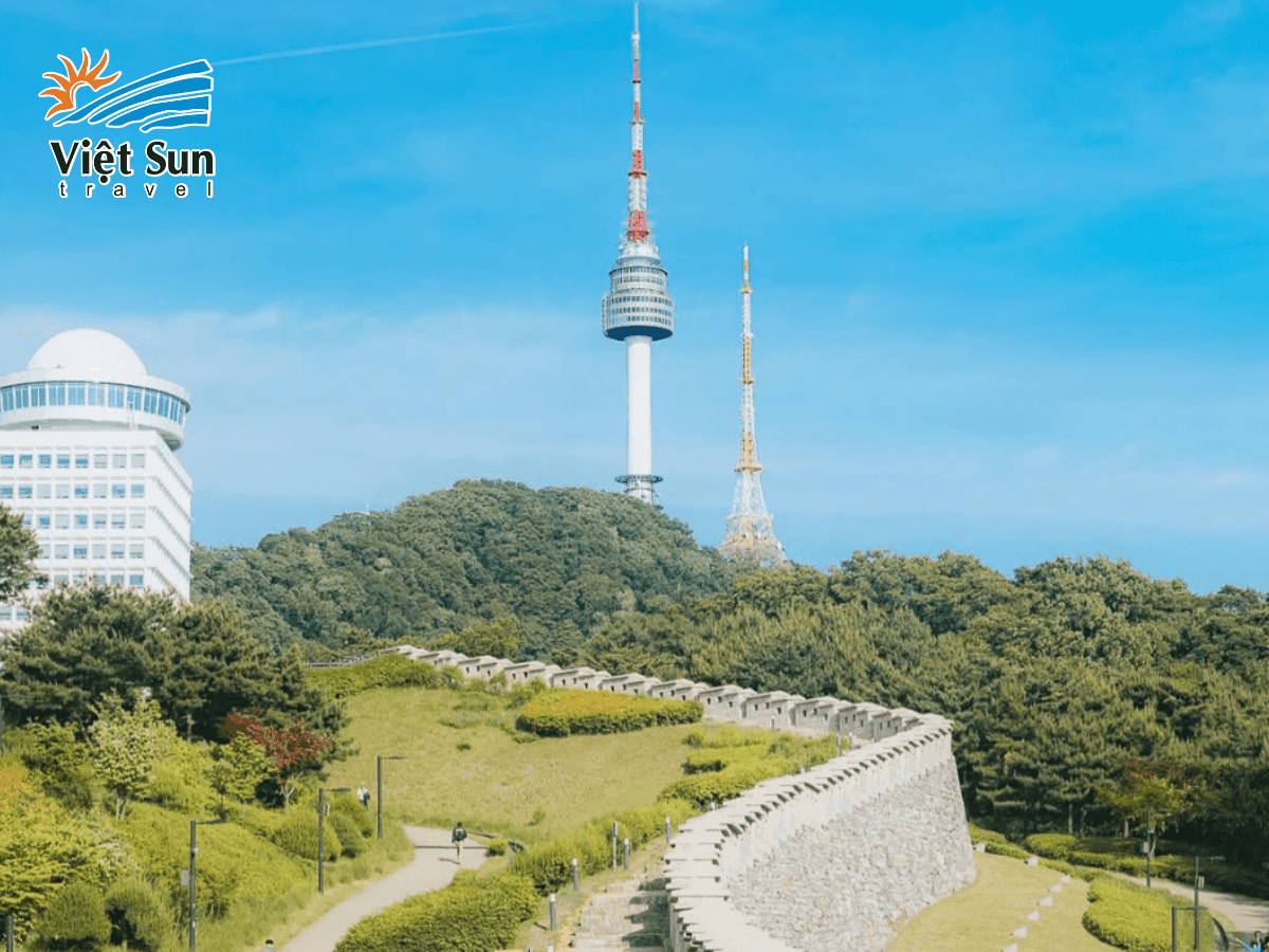Đường mòn rợp bóng cây trong công viên Namsan vào mùa hè