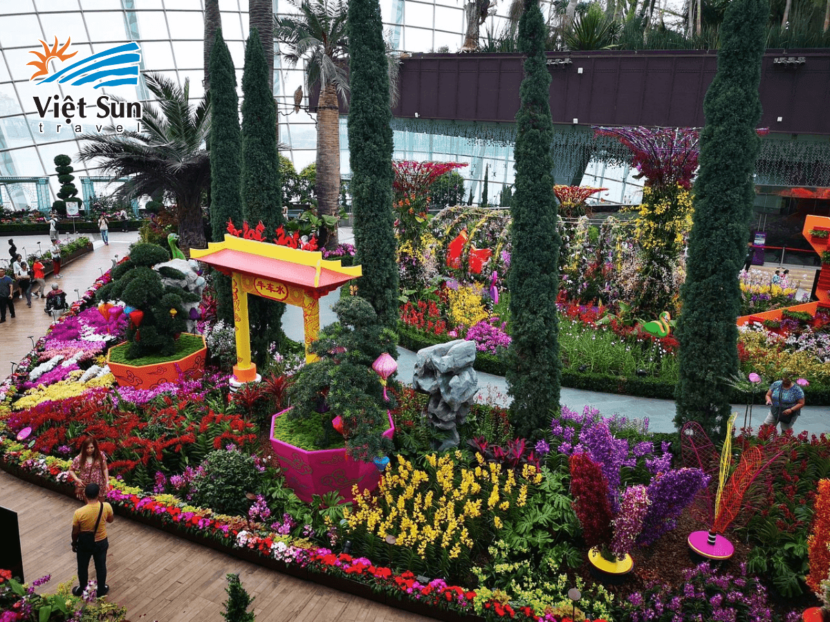 Flower Dome - Vườn hoa Singapore đẳng cấp quốc tế