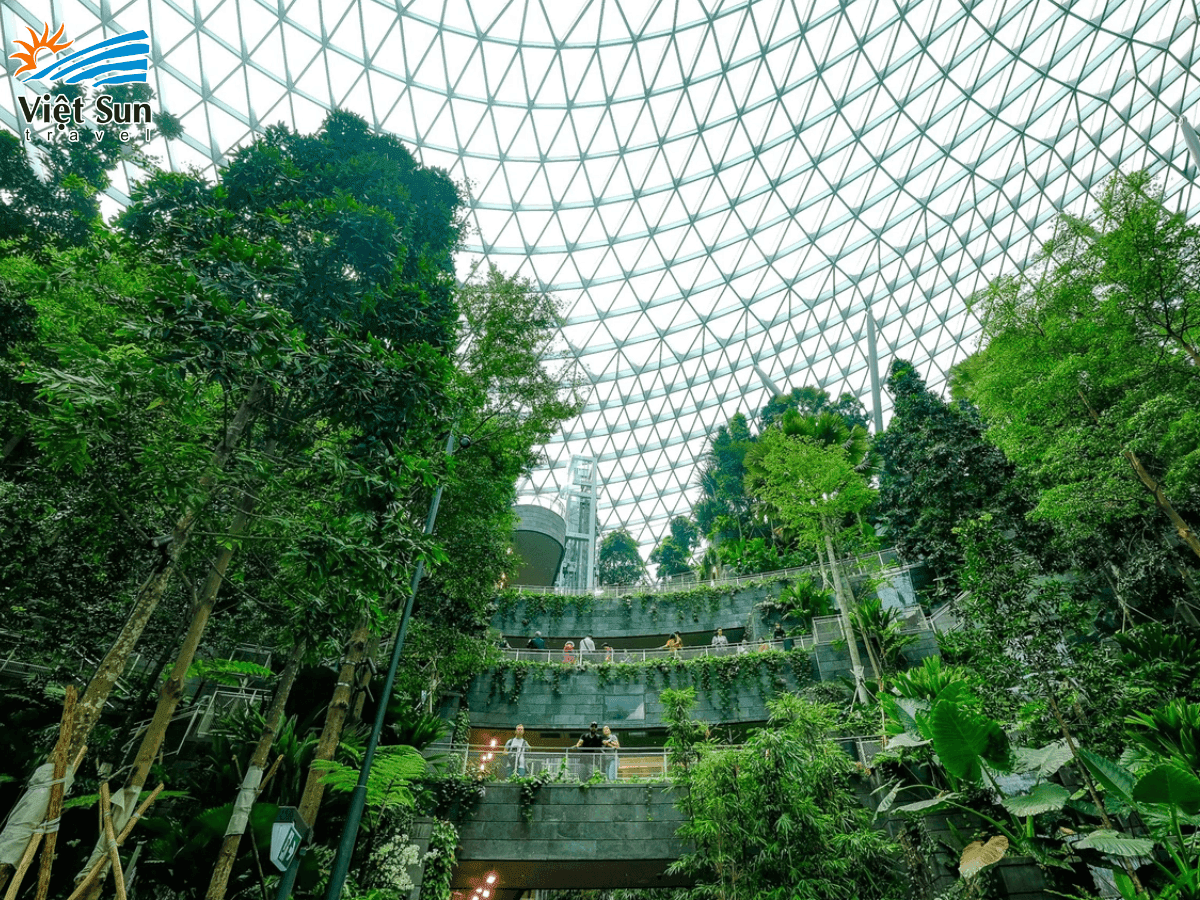 Forest Valley xanh mát bên dưới máy vòm Jewel