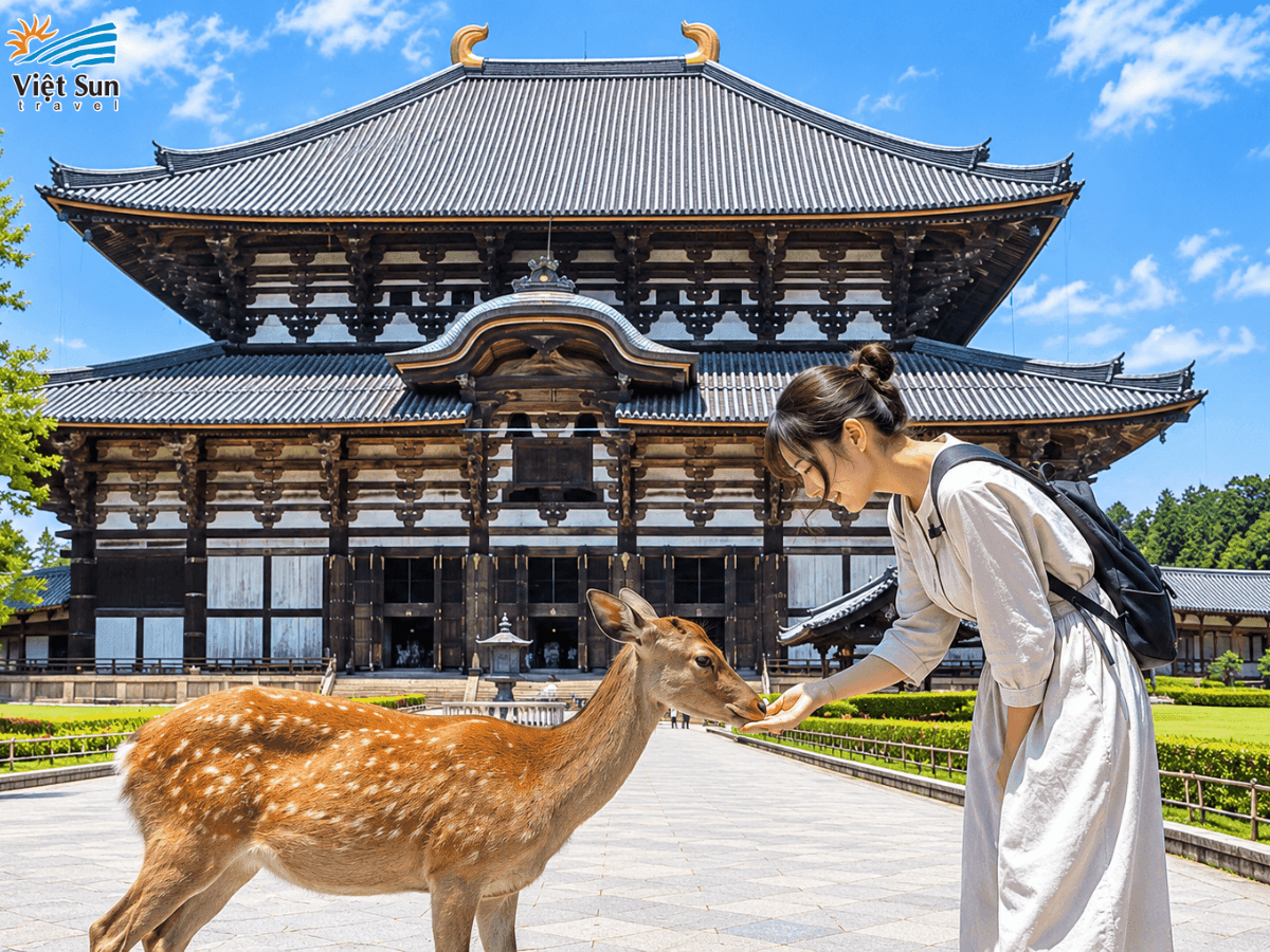 Gặp những chú nai ở Nara Park khi đến Todaiji