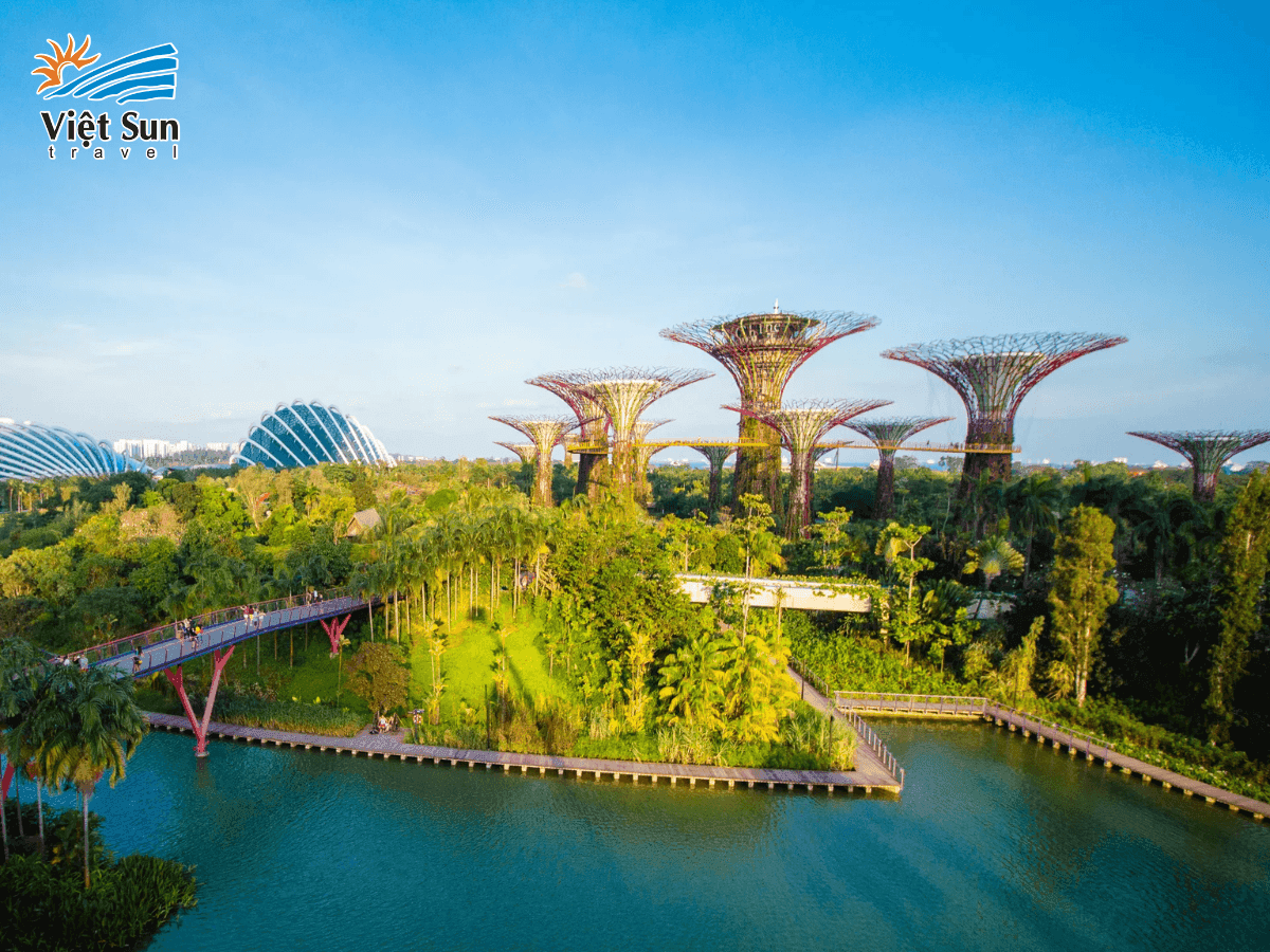 Gardens by the Bay – Biểu tượng xanh nổi bật với thiết kế độc đáo và công nghệ hiện đại