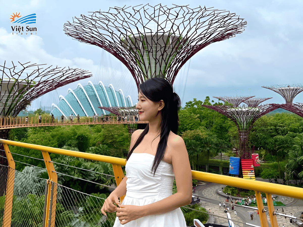 Gardens by the Bay – khu vườn nhân tạo nổi tiếng với những “siêu cây” khổng lồ