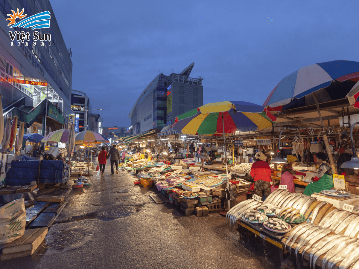 Hải sản tươi sống tại chợ Jagalchi – tinh hoa ẩm thực biển Busan