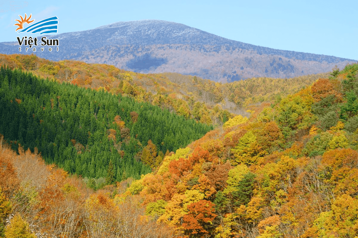 Hẻm núi Nakatsugawa – Điểm trekking ngắm lá đỏ Fukushima.