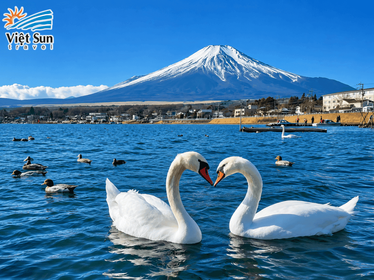 Hồ Kawaguchiko và núi Phú Sĩ – khung cảnh nổi tiếng của vùng Yamanashi.png
