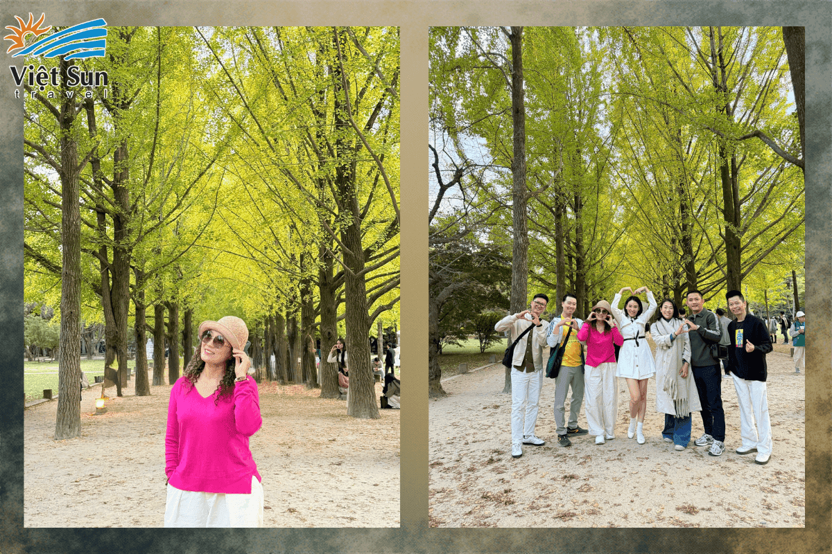 Khách đoàn Viet Sun Travel check in lá vàng Đam