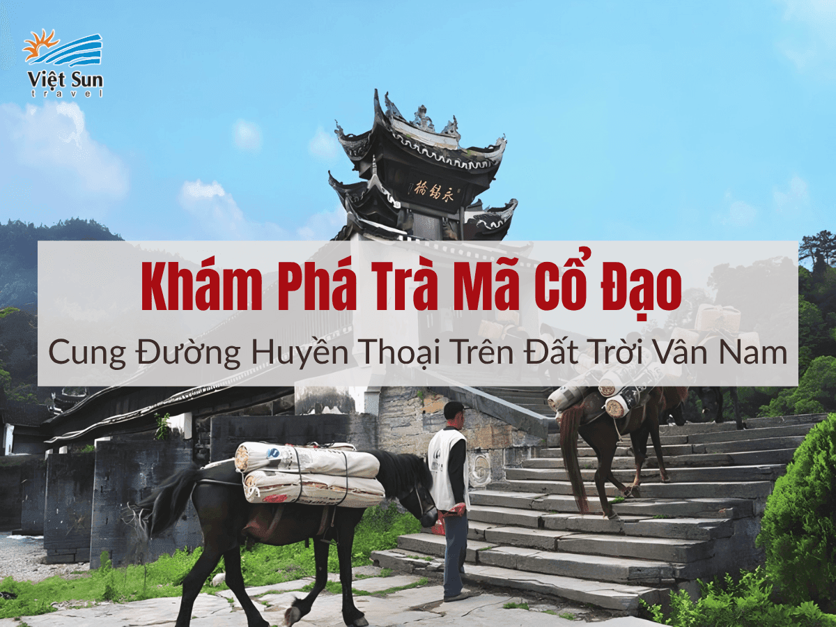 Khám Phá Trà Mã Cổ Đạo – Cung Đường Huyền Thoại Trên Đất Trời Vân Nam