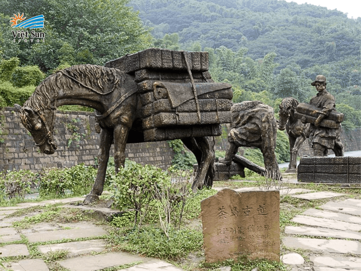 Khám phá Trà Mã Cổ Đạo – cung đường lịch sử nối liền văn hóa trà và ngựa suốt hàng ngàn năm