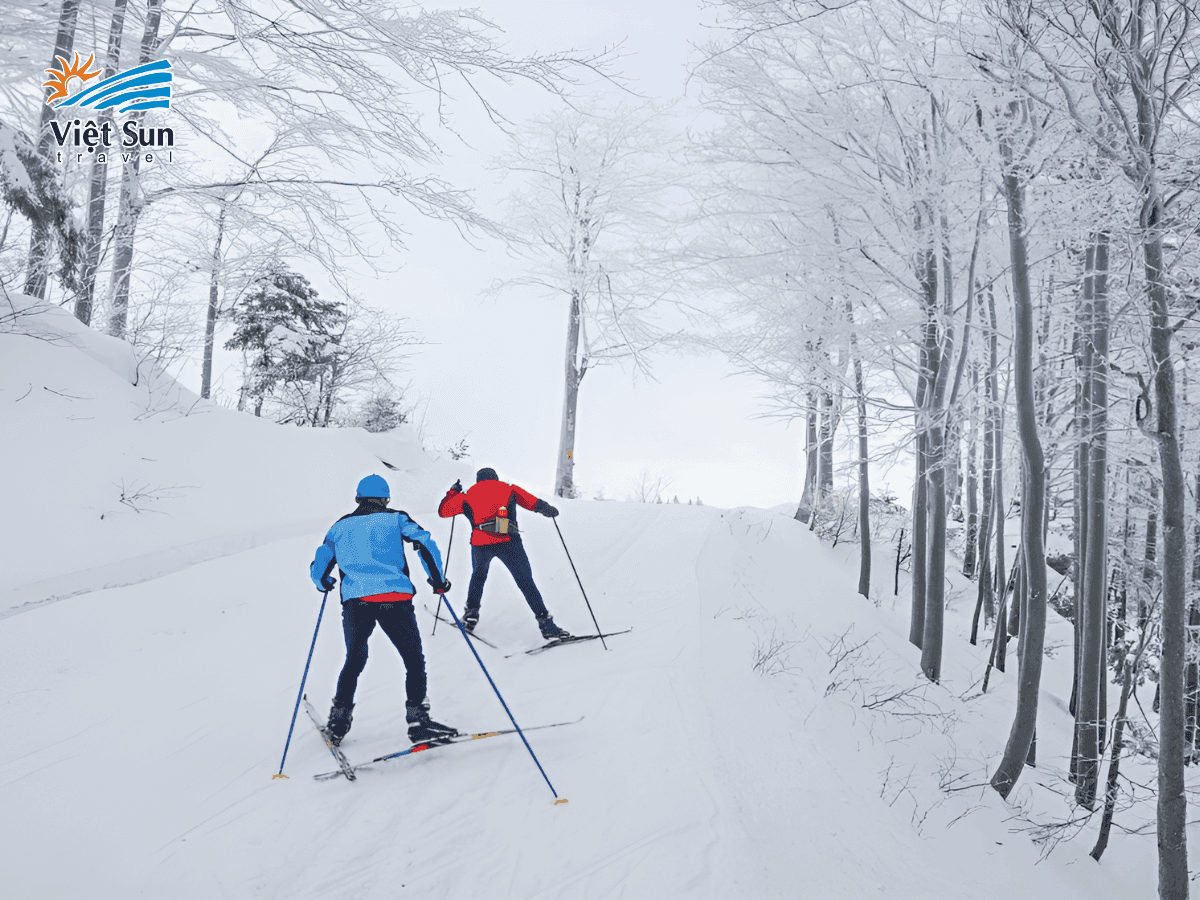 Khu trượt tuyết đẳng cấp tại Pyeongchang – thiên đường cho dân mê tuyết