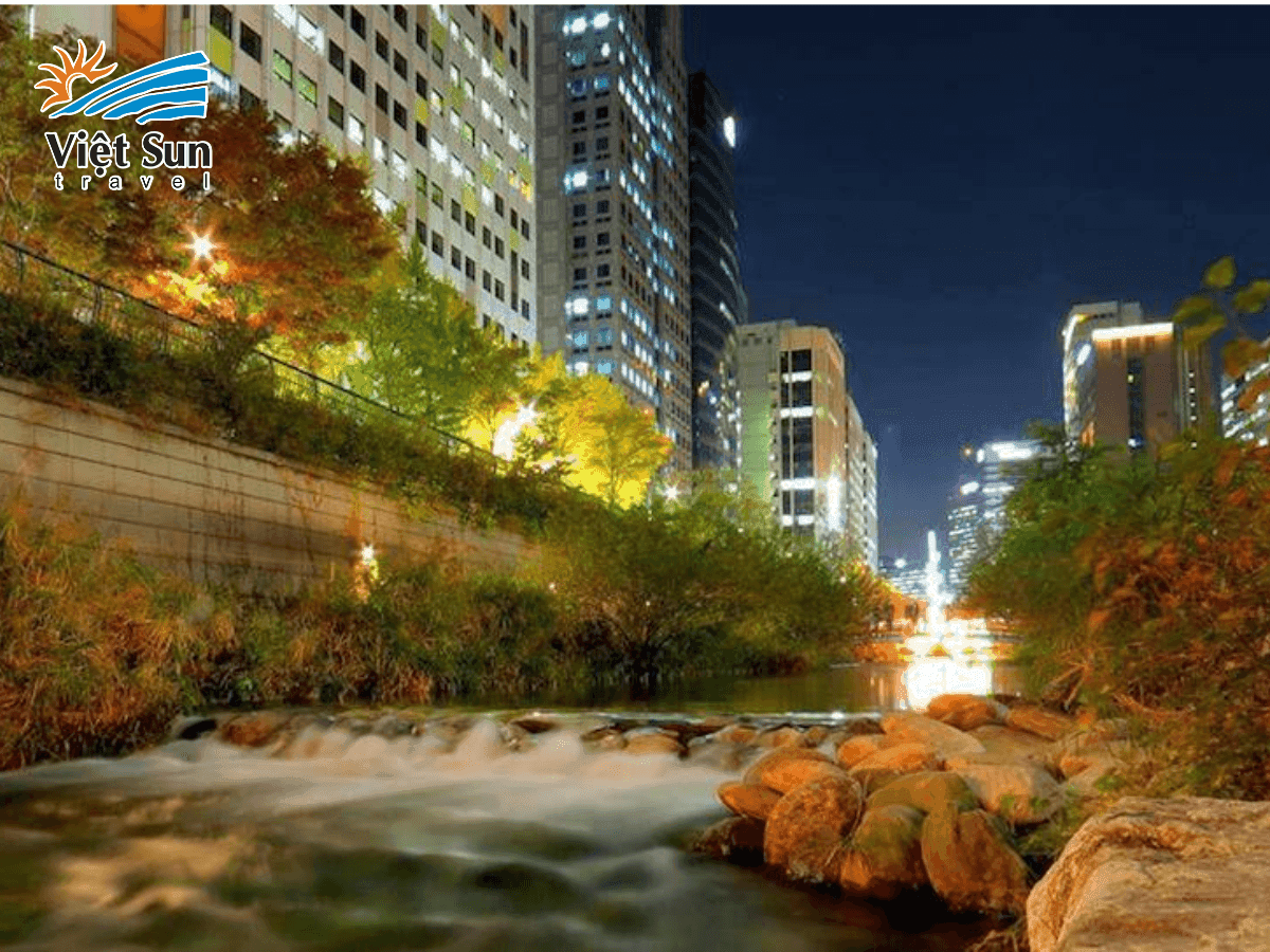 Lá đỏ mùa thu phủ kín hai bên bờ suối Cheonggyecheon