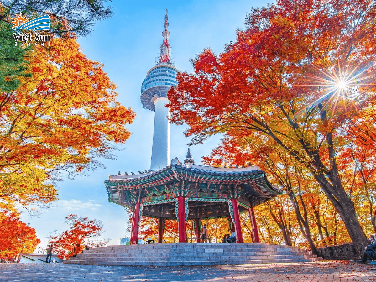 Lá phong đỏ rực tô điểm từng góc nhỏ quanh Tháp Namsan