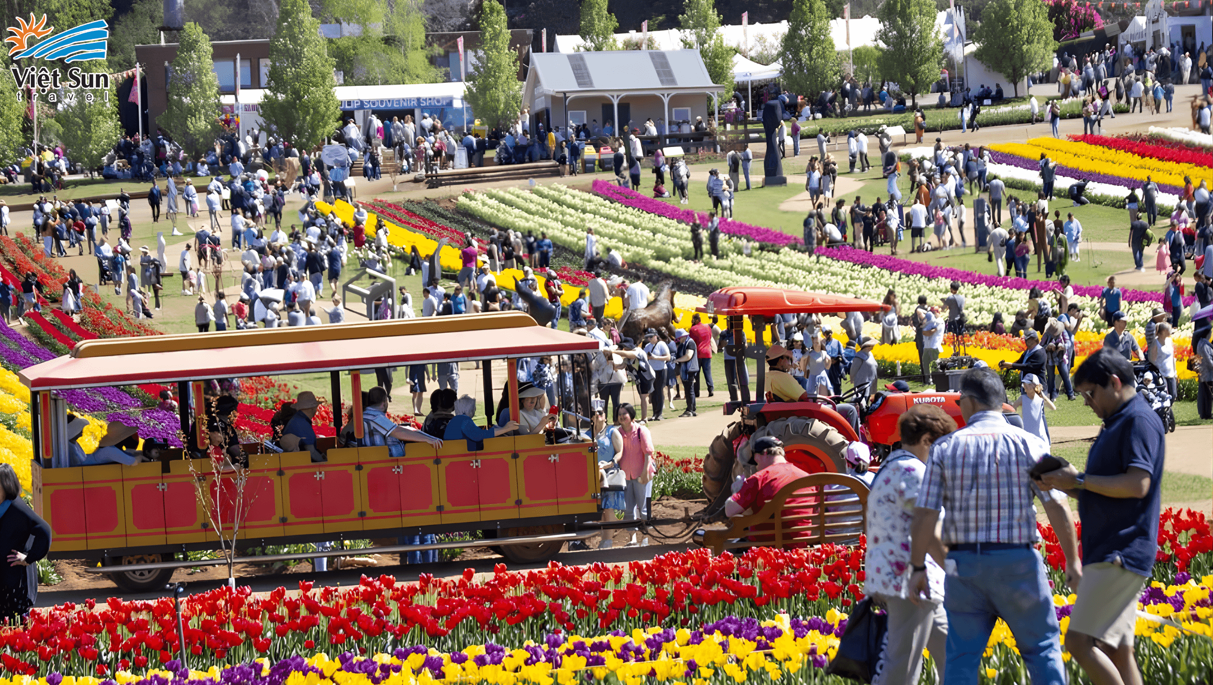 Lễ hội Tesselaar Tulip Festival Viet Sun Travel