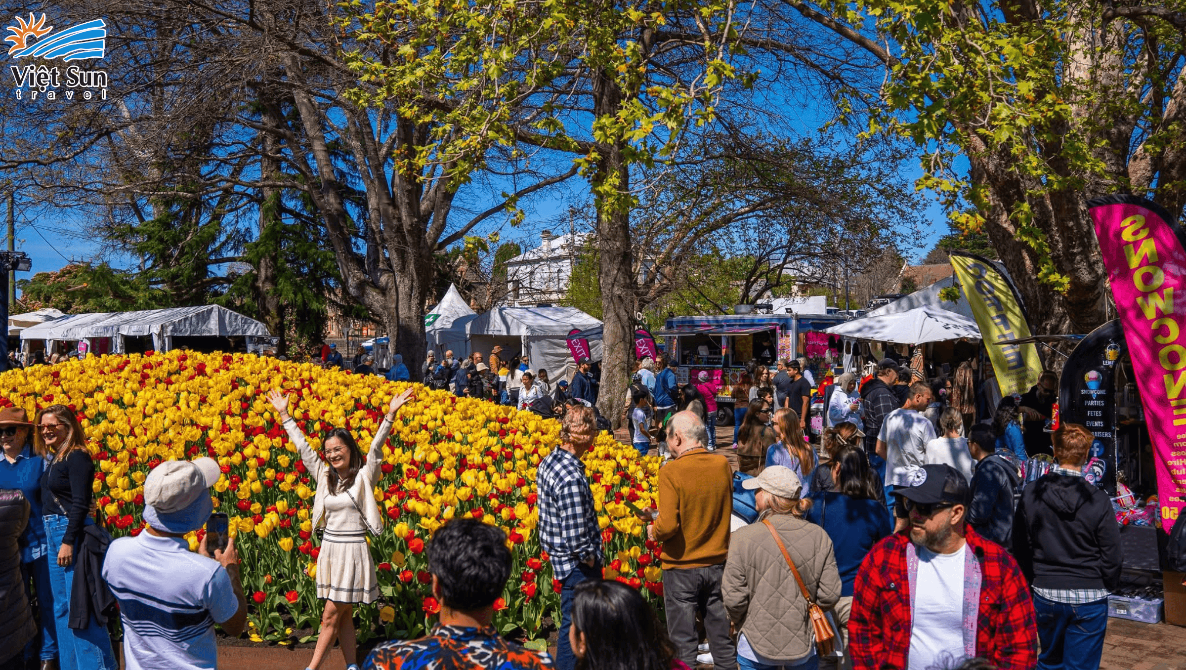Lễ hội hoa Tulip Time ở Bowral Viet Sun Travel