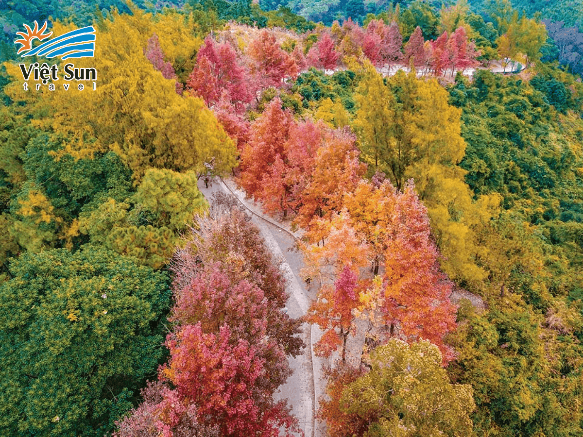 Mùa thu Hongkong trời trong, nắng đẹp, thời tiết mát mẻ, lý tưởng để du lịch.png