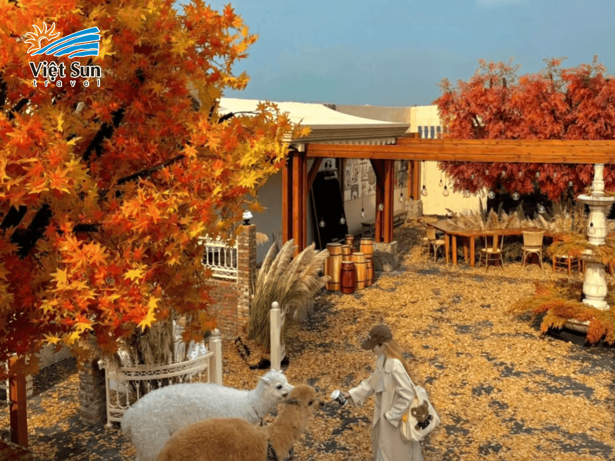 Mùa thu là thời điểm lý tưởng để khám phá Thâm Quyến với khí hậu mát mẻ, ít mưa