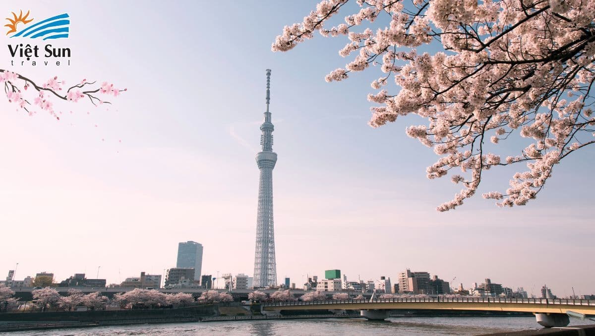 Mùa xuân Tháp truyền hình Tokyo Sky Tree